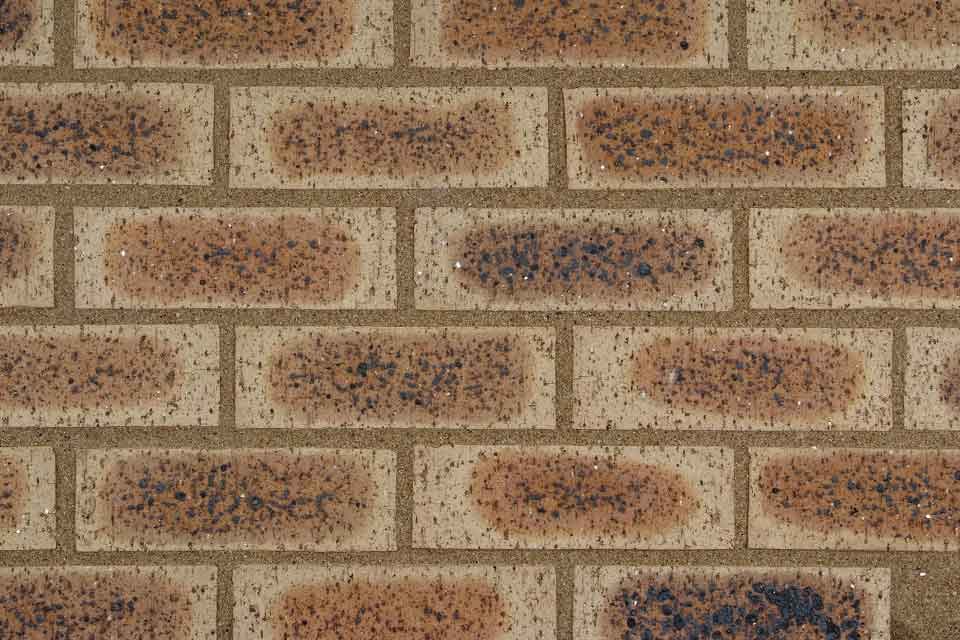 BLUE BARLEY Bulk Brick Supplies